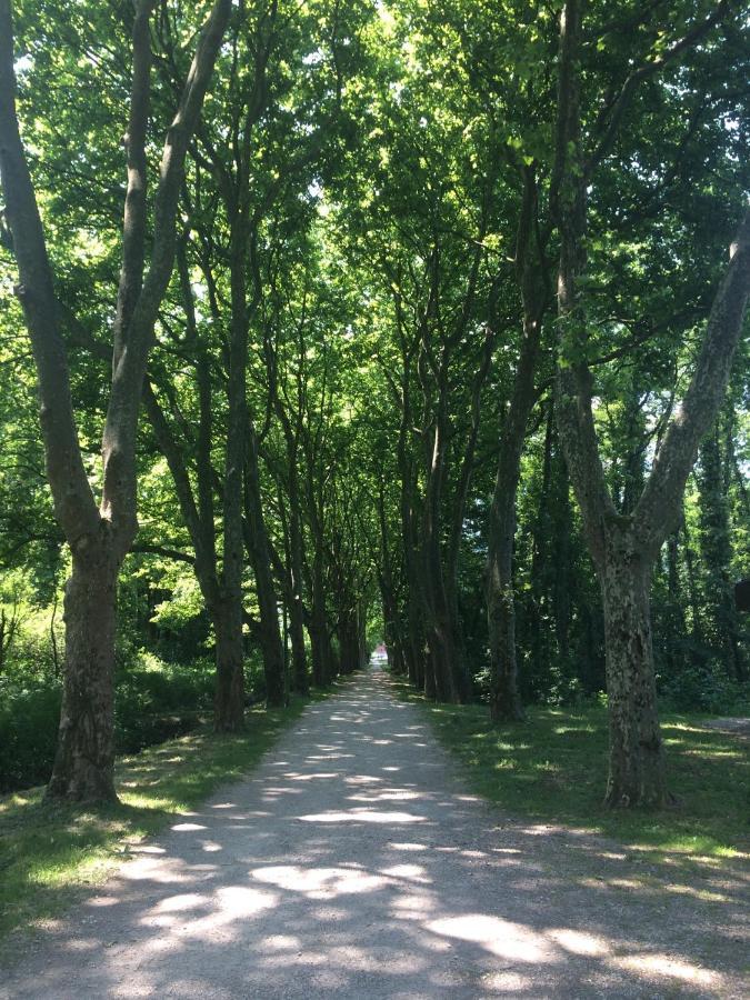 Chambre Atypique 2 Pers 200M Du Lac Saint-Jorioz Zewnętrze zdjęcie