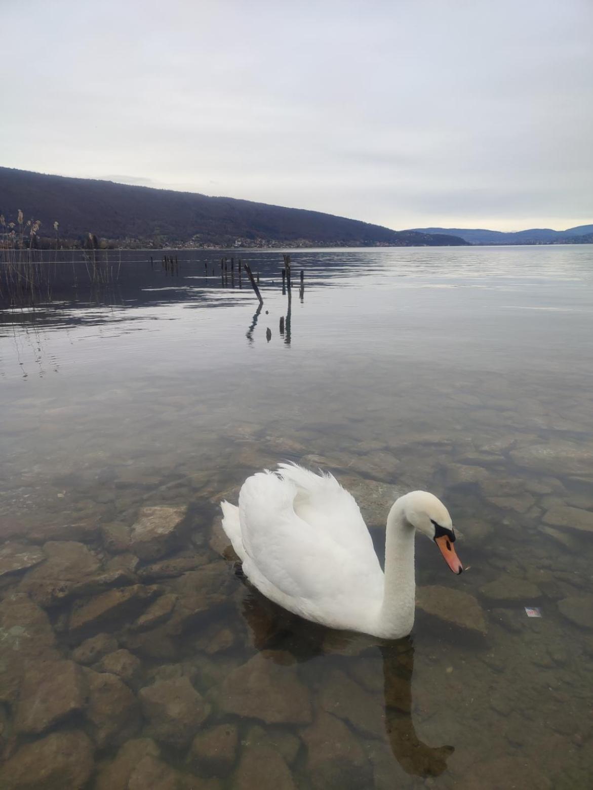 Chambre Atypique 2 Pers 200M Du Lac Saint-Jorioz Zewnętrze zdjęcie
